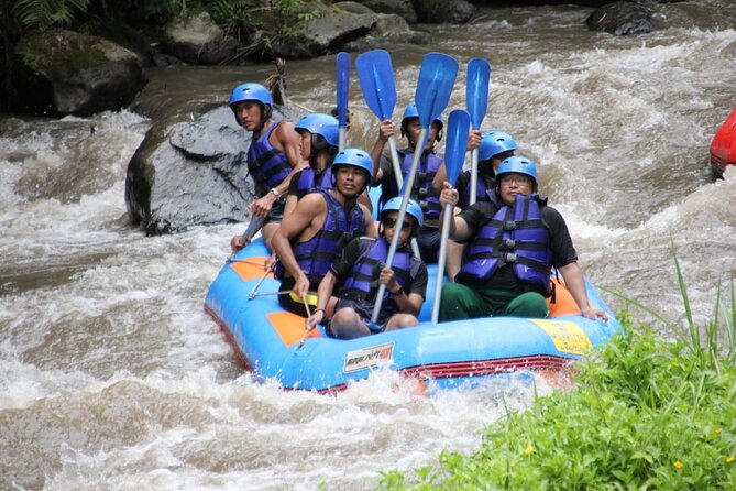 White Water Rafting Ubud Bali With Hotel Transfer - Reviews and Achievements