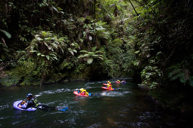 White-Water Sledging Adventure - Scenic Wonders