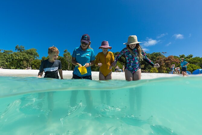 Whitehaven Beach and Hamilton Island Cruise From Airlie Beach - Traveler Feedback and Recommendations