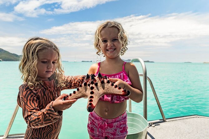 Whitehaven Beach and Hill Inlet Day Tour | Aussie Beach BBQ | Family Friendly - Optional Walk to Whitehaven Lookout