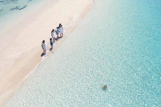 Whitehaven Beach and Hill Inlet Lookout Snorkeling Cruise - Onboard Amenities