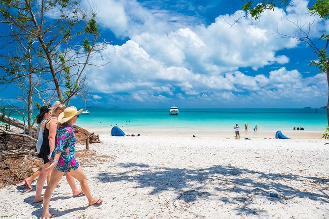 Whitehaven Beach Half-Day Cruises - Cruise Route and Wildlife