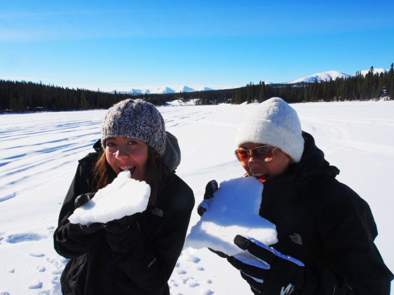 Whitehorse: Half-Day Snowshoeing Tour - Experience Highlights
