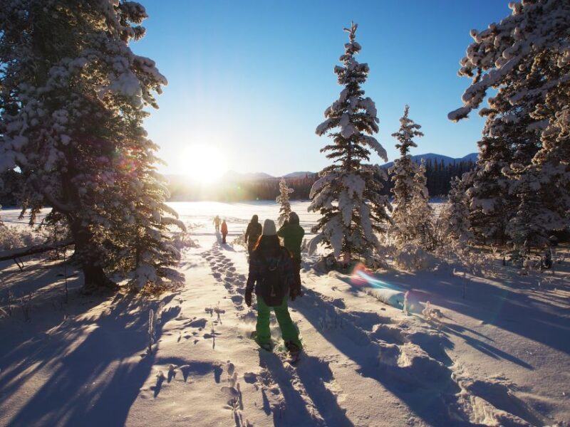 Whitehorse: Half-Day Snowshoeing Tour - Inclusions