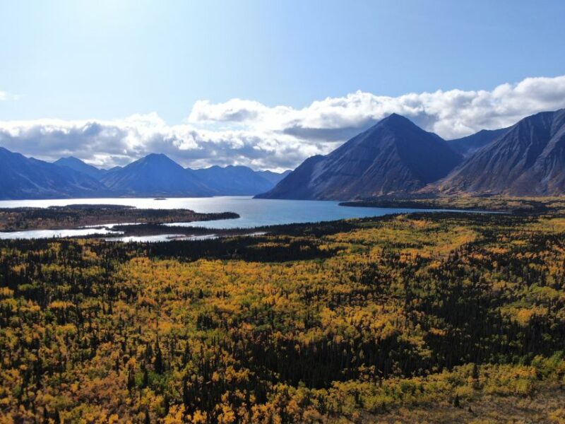 Whitehorse: Kluane National Park & Haines Junction Day Trip - Itinerary Highlights