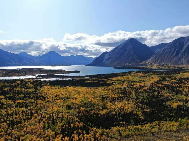 Whitehorse: Kluane - Wildlife & Vistas - Wildlife Watching: What’s Realistic?