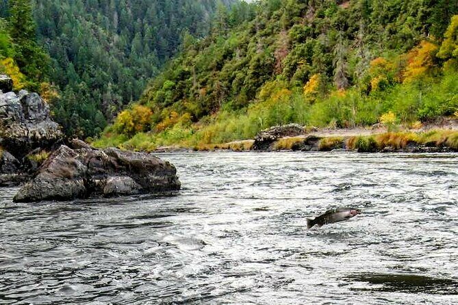 Whitewater Fishing and Rafting Experience in Rogue River - What’s Included and What’s Not