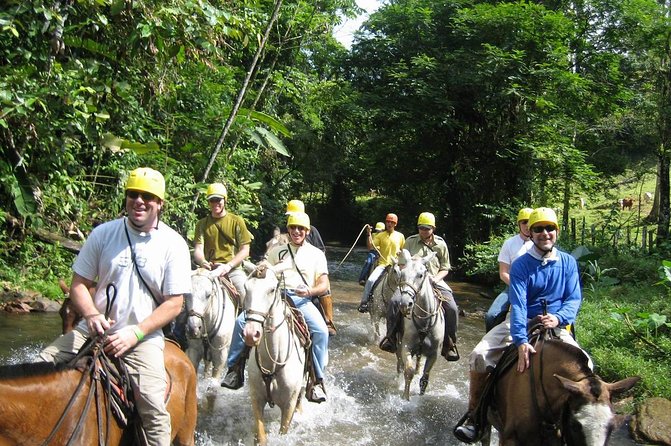 Whitewater Rafting and Horseback Riding Combo. Private Tour - Stunning Sarapiqui Scenery