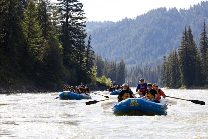 Whitewater Rafting in Jackson Hole : Family Standard Raft - Thrilling Rapids and Scenic Surroundings