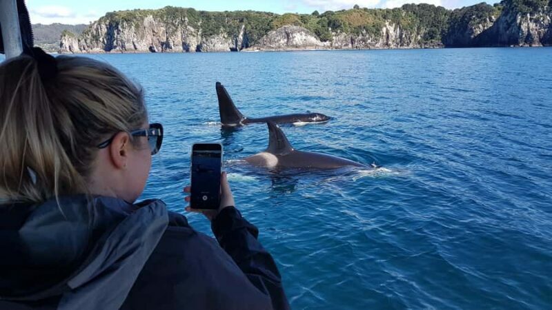 Whitianga: 2-Hour Cathedral Cove and Volcanic Coast Cruise - Getting Closer to Cathedral Cove