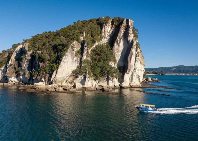Whitianga: 2-Hour Glass Bottom Boat Cathedral Cove Tour - Introduction: A Look at the Whitianga Glass Bottom Boat Tour