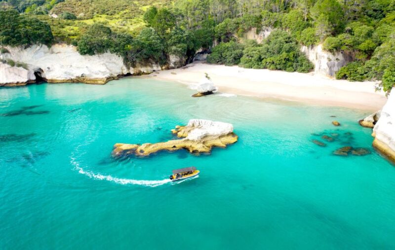 Whitianga: Cathedral Cove 2 Hour Boat Cruise - Visitor Information