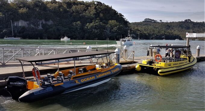 Whitianga: Cathedral Cove 2 Hour Boat Cruise - What to Bring