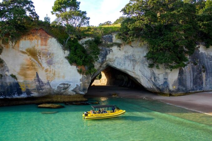 Whitianga: Cathedral Cove 2 Hour Boat Cruise - Customer Ratings