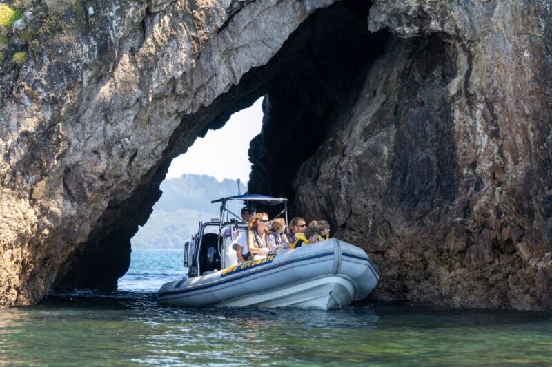 Whitianga: Cathedral Cove & Caves Boat Tour With Snorkeling - Key Points