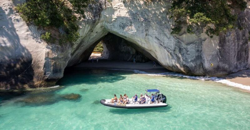 Whitianga: Cathedral Cove, Cruise, Caves and Snorkeling Tour - Customer Experience