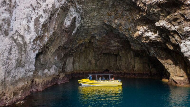 Whitianga: Cathedral Cove Highlights Boat Tour - Tour Pricing