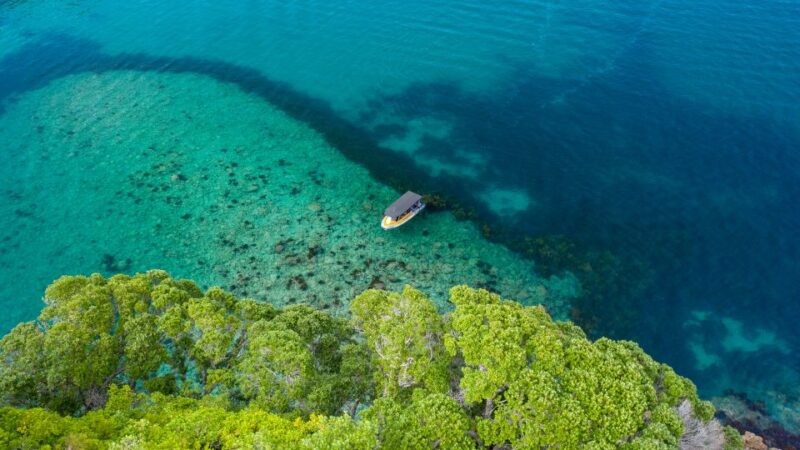 Whitianga: Cathedral Cove Highlights Boat Tour - Itinerary Highlights