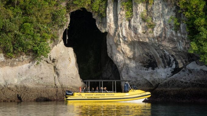 Whitianga: Cathedral Cove Highlights Boat Tour - Recap