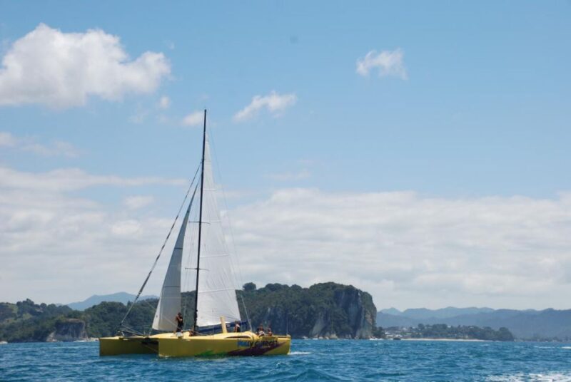 Whitianga: Sailing Trip to Cathedral Cove - Itinerary and Activities