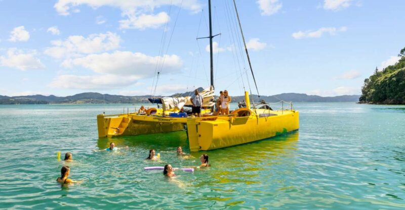 Whitianga: Sailing Trip to Cathedral Cove - Participant Information