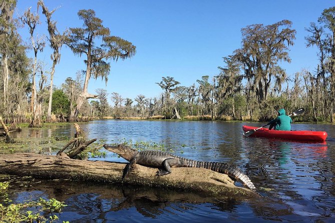 Whitney Plantation and Manchac Swamp Kayak Tour Combo - Inclusions