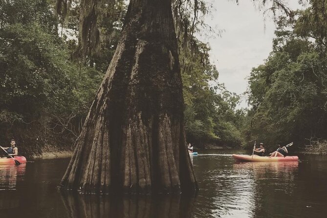 Whitney Plantation and Manchac Swamp Kayak Tour Combo - Additional Information