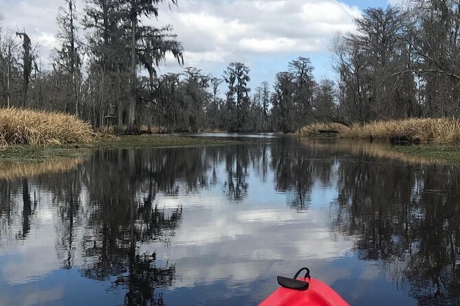 Whitney Plantation and Manchac Swamp Kayak Tour Combo - Pricing and Cancellation
