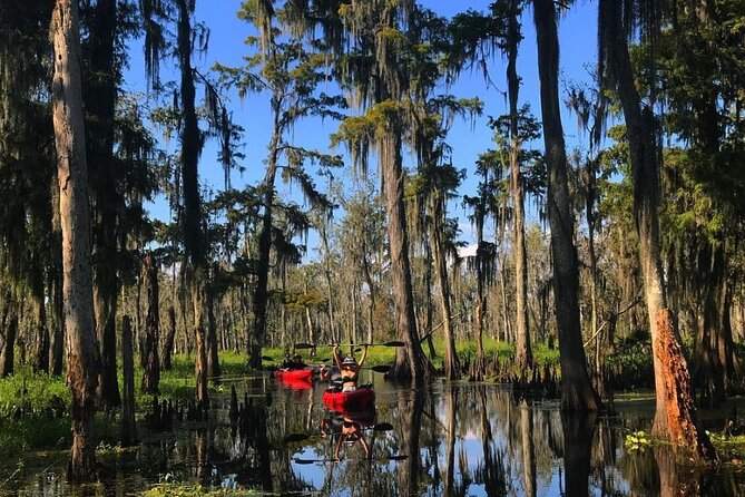 Whitney Plantation and Manchac Swamp Kayak Tour Combo - Kayaking Through Secluded Swamp