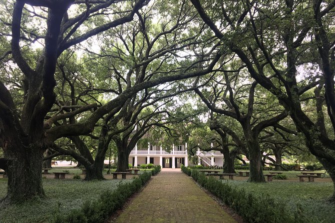 Whitney Plantation Private Tour With Round-Trip Transportation - Visitor Experience