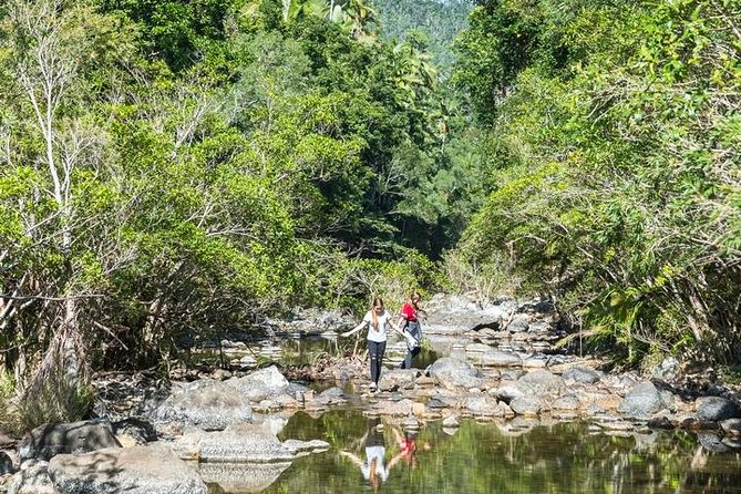 Whitsunday Segway Rainforest Discovery Tour - Participant Requirements