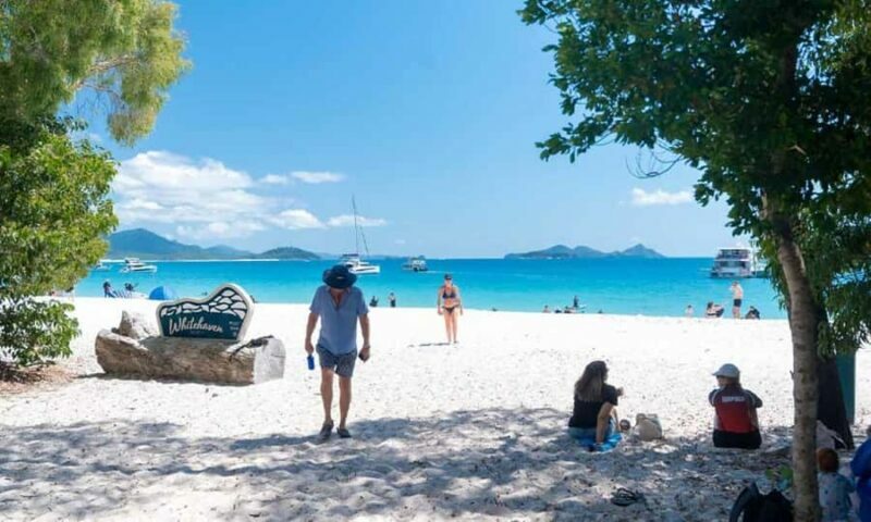 Whitsunday: Whitsunday Islands Tour with Snorkeling & Lunch - Transportation, Group Size & Practicalities