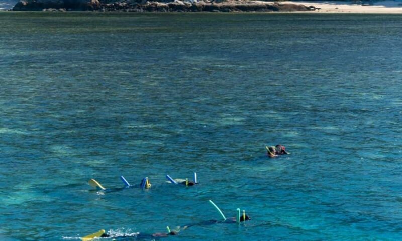 Whitsunday: Whitsunday Islands Tour with Snorkeling & Lunch - The Sum Up: The Best Value for Authentic Whitsundays Experiences