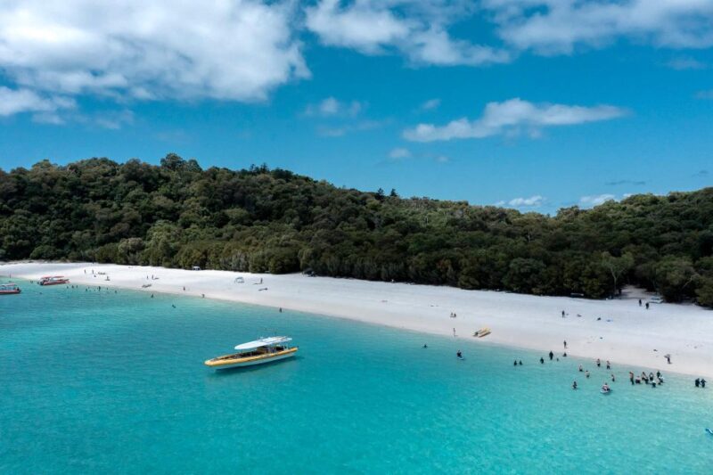 Whitsunday: Whitsunday Islands Tour With Snorkeling & Lunch - Snorkeling in the Great Barrier Reef