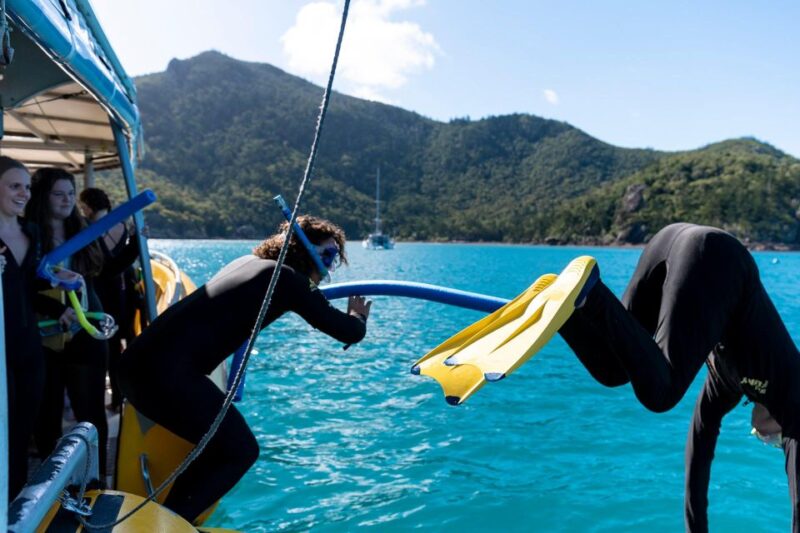 Whitsunday: Whitsunday Islands Tour With Snorkeling & Lunch - Buffet-Style Picnic Lunch
