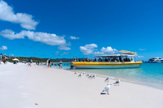 Whitsunday: Whitsunday Islands Tour With Snorkeling & Lunch - Restrictions and Considerations