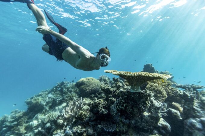 Whitsundays: 2 Nights Small Ship Cruising - Inclusions in the Cruise Package