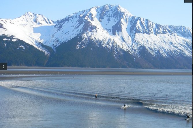 Whittier to Anchorage Cruise Transfer and Private Tour - Group Size and Pricing