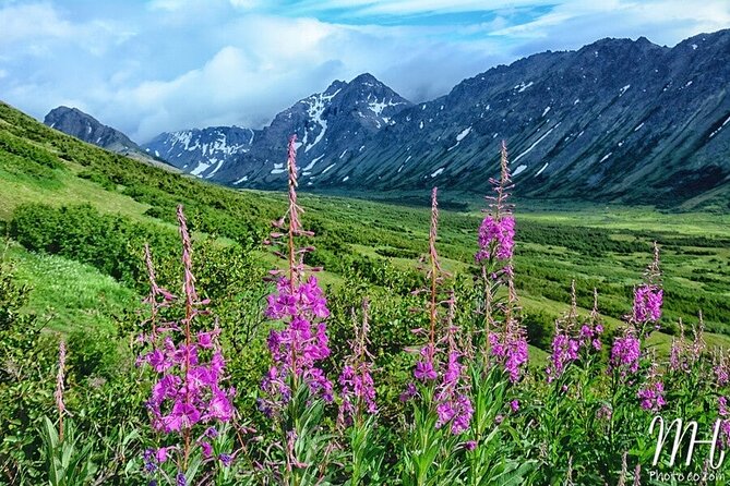 Whittier to Anchorage Full Day Transit Tour From the Port - Scenic Drive to Anchorage