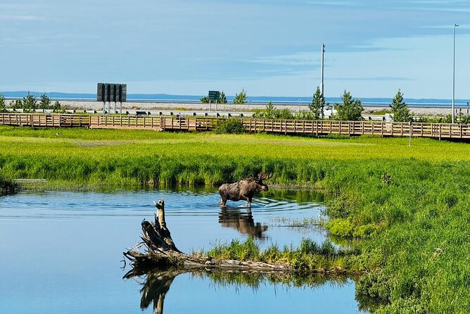 Whittier to Anchorage Land Transfer Tour - Scenic Stops