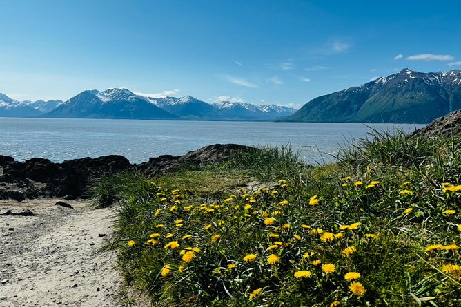 Whittier to Anchorage Land Transfer Tour - Wildlife Viewing