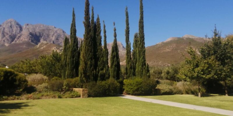 Whole Day Cape Point Tour-13 Point of Interest in One Day - Colorful Muizenberg and Bo-Kaap