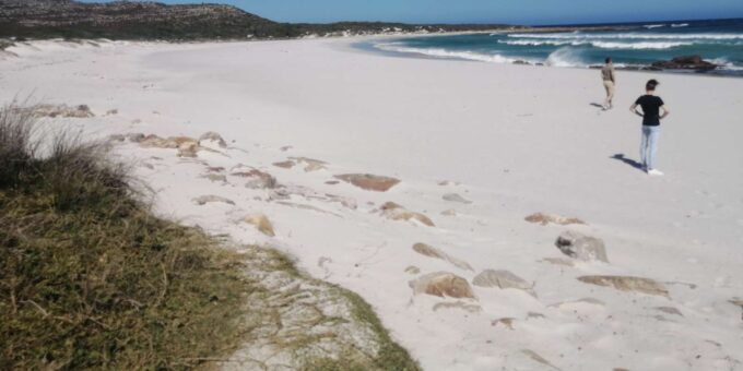 Whole Day Cape Point Tour-13 Point of Interest in One Day - Frequently Asked Questions