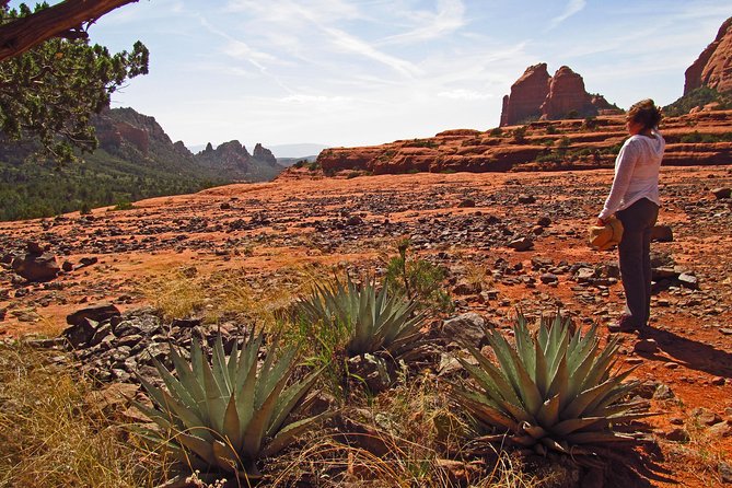 Whole-Day Sedona Vortex Experience - Healthy Organic Lunch