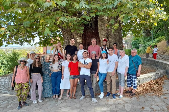 Whole Day Wine Tour to Kakheti From Tbilisi - Exploring Kakheti Wine Region