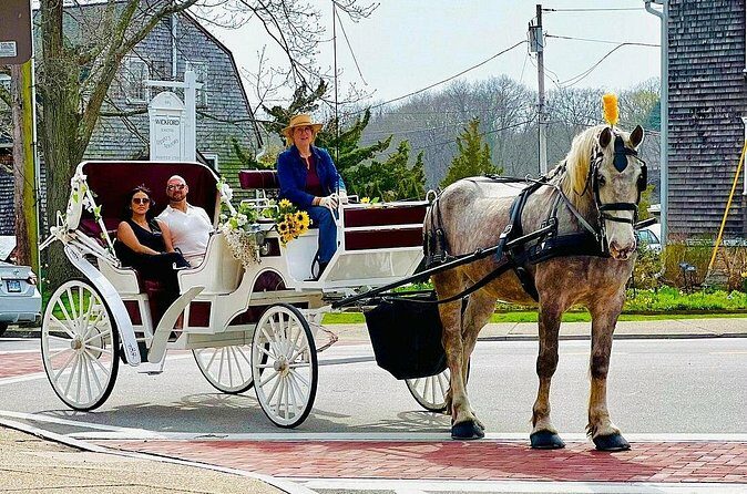 Wickford Horse Drawn Carriage Ride - Final Takeaway