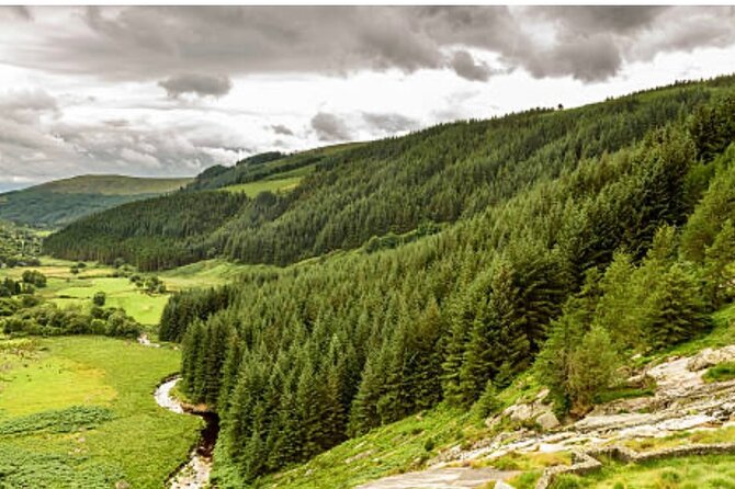 Wicklow and Glendalough Private Chauffeured Sightseeing Tour - Exploring Wicklow