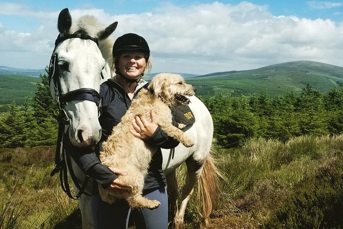 Wicklow Mountains Horse Trekking - Meeting and End Point