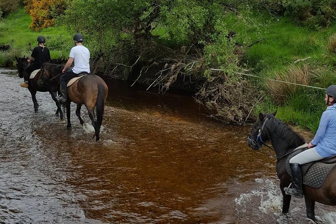 Wicklow Mountains Horse Trekking - Booking and Cancellation