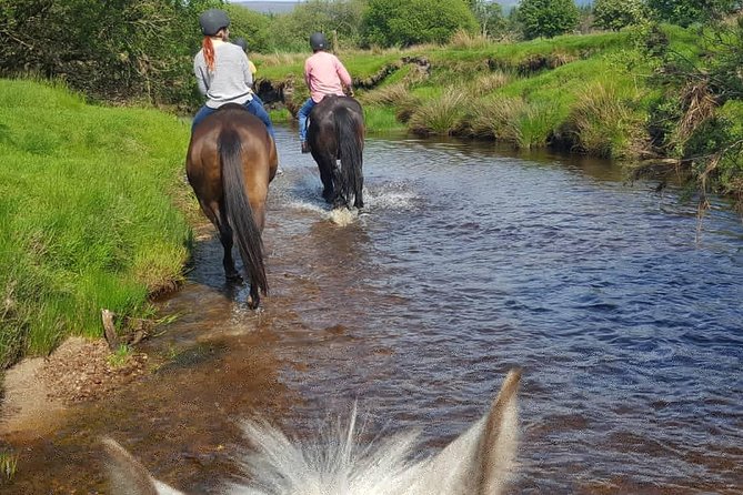 Wicklow Mountains Horse Trekking - Additional Information